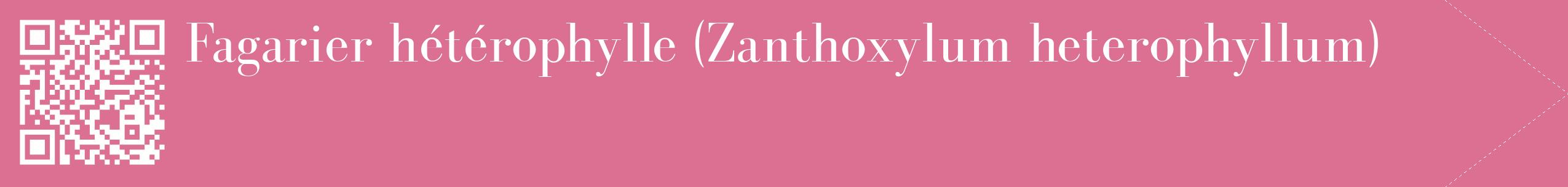 étiquette 2