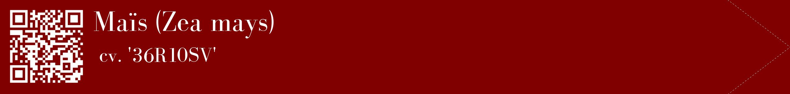 étiquette 2