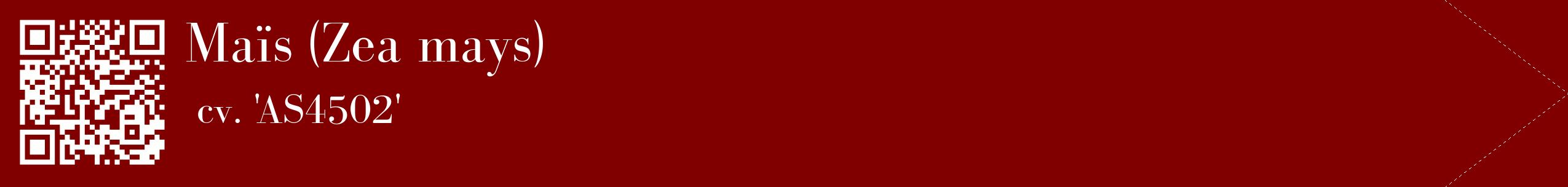 étiquette 2