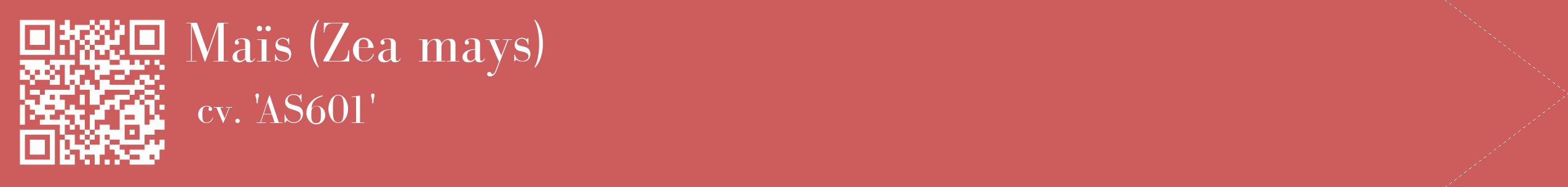 étiquette 2