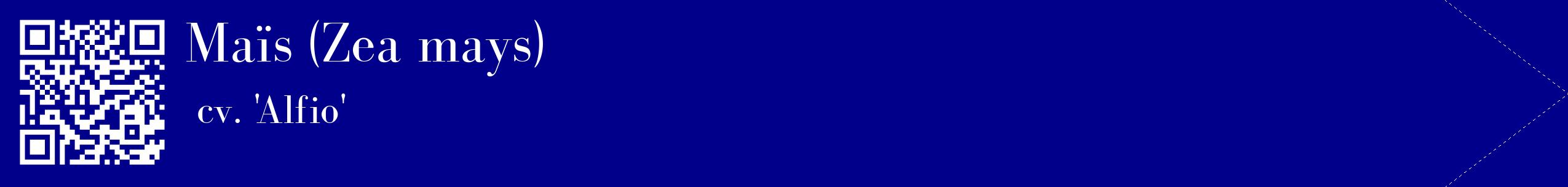 étiquette 2