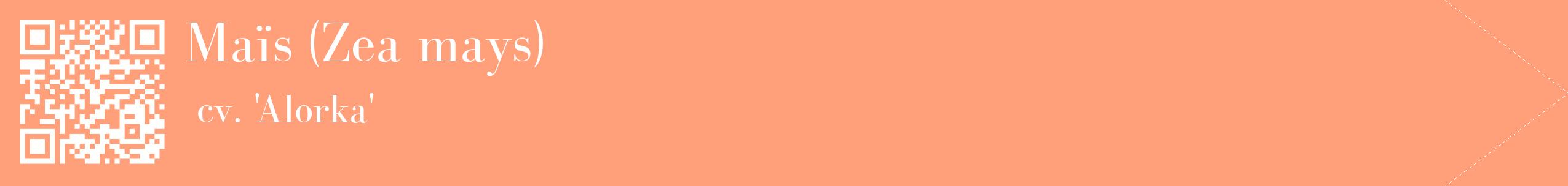 étiquette 2