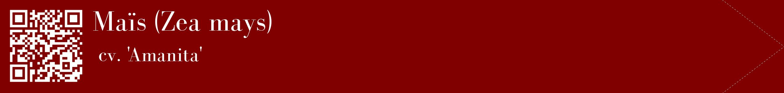 étiquette 2