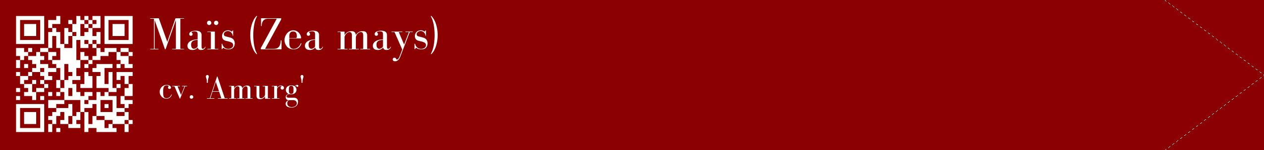 étiquette 2