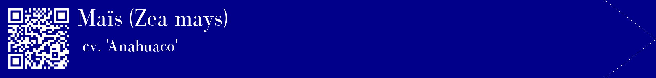 étiquette 2