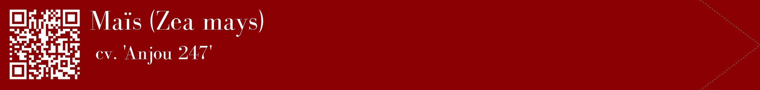 étiquette 2