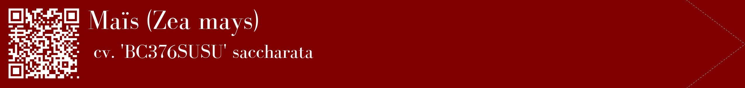 étiquette 2