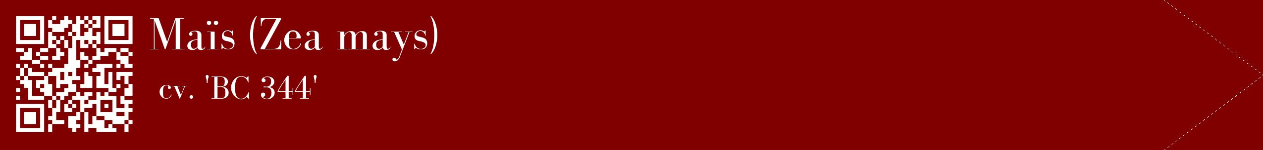 étiquette 2