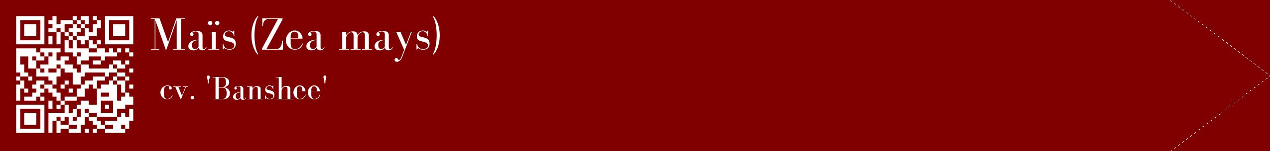 étiquette 2