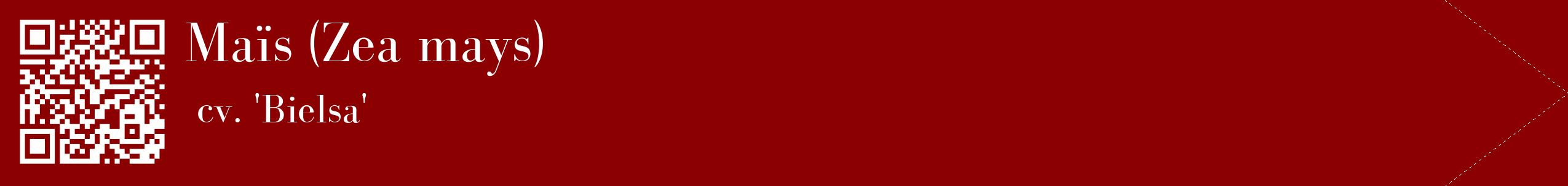 étiquette 2