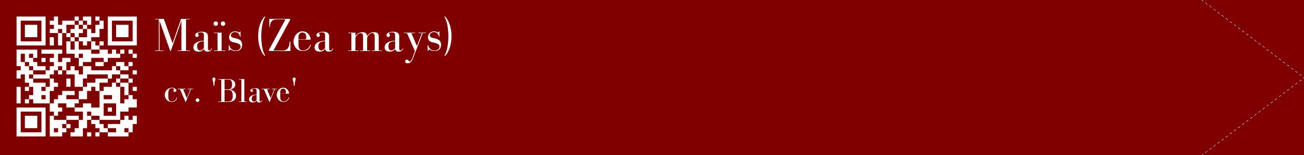étiquette 2