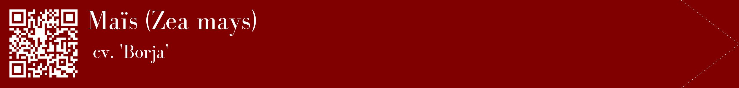 étiquette 2