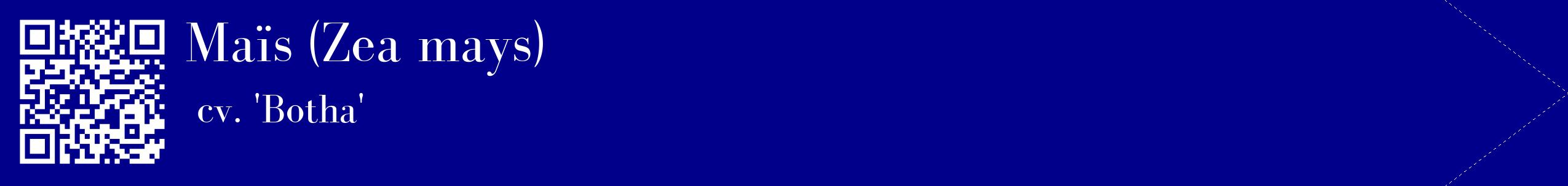 étiquette 2