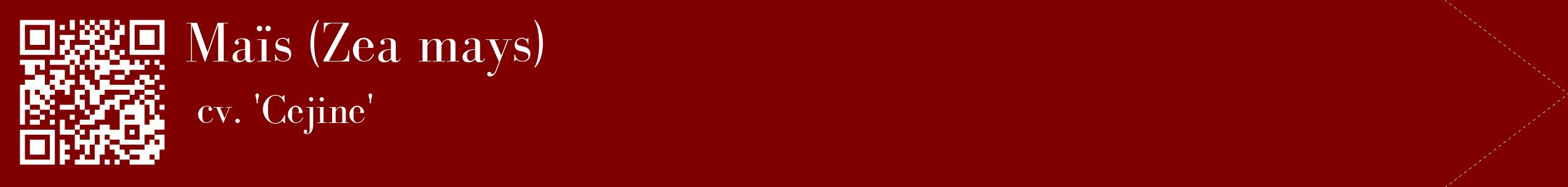 étiquette 2