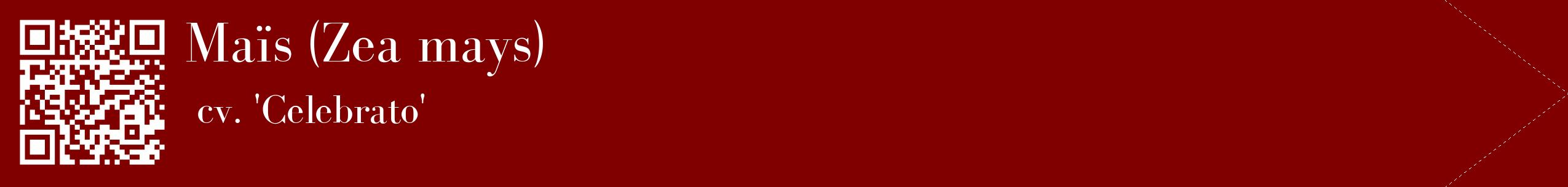 étiquette 2
