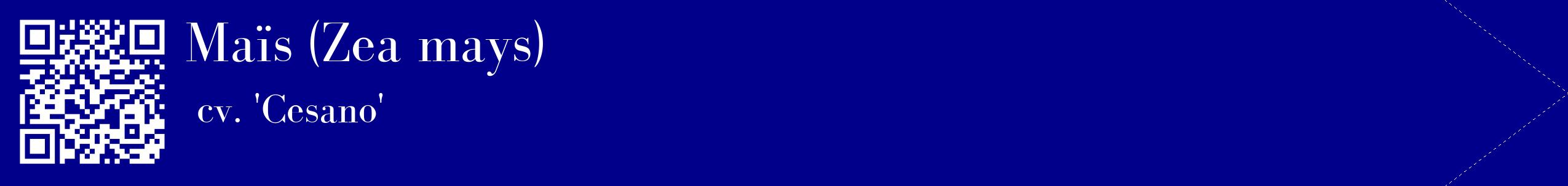 étiquette 2