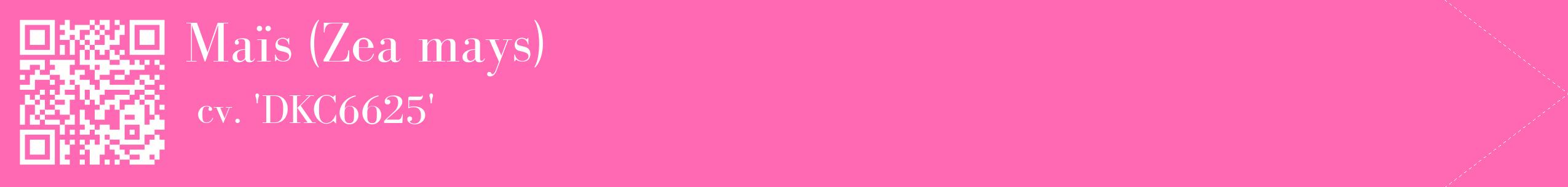 étiquette 2