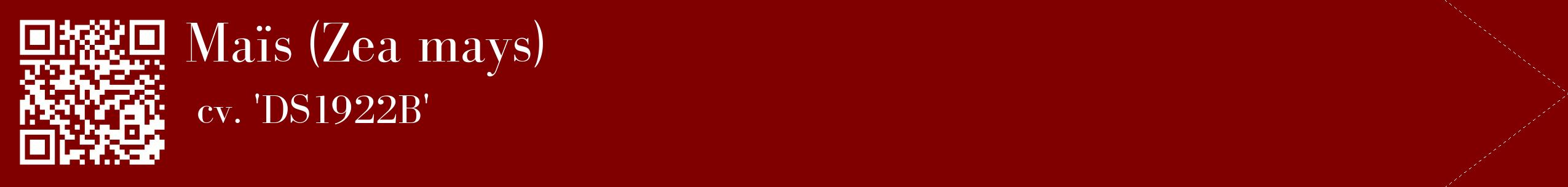 étiquette 2