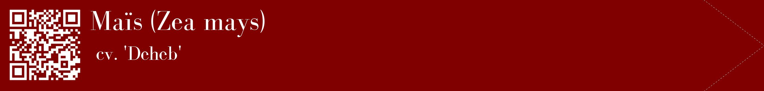 étiquette 2