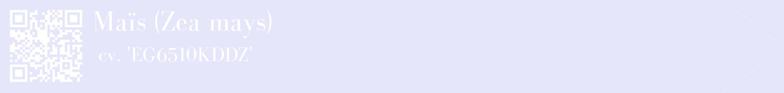 étiquette 2