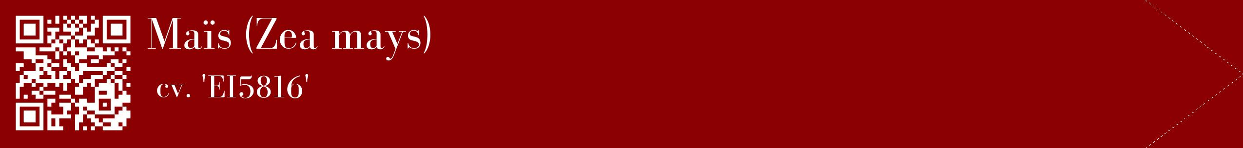 étiquette 2