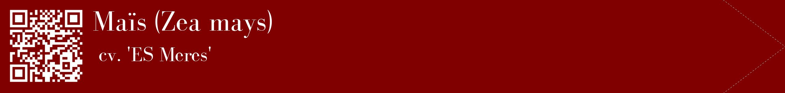 étiquette 2