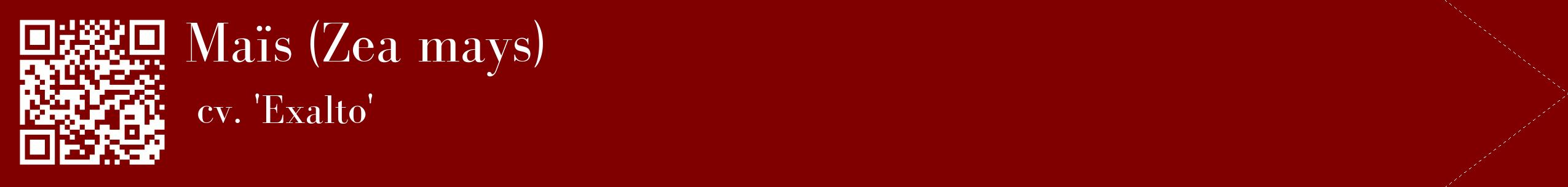 étiquette 2