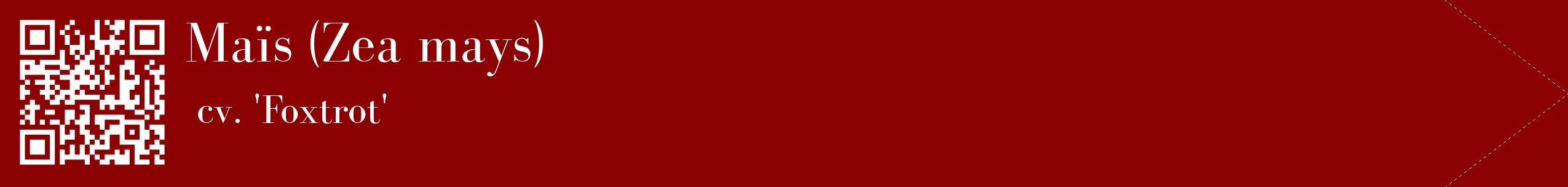 étiquette 2