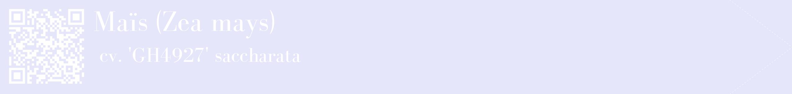 étiquette 2