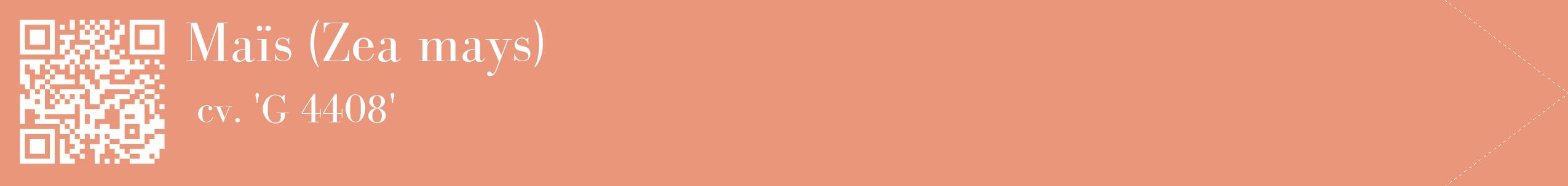 étiquette 2