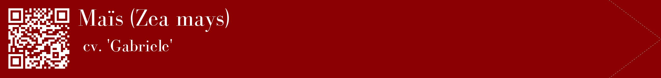 étiquette 2