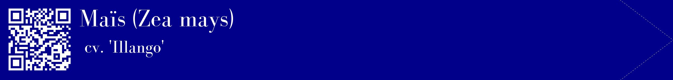 étiquette 2