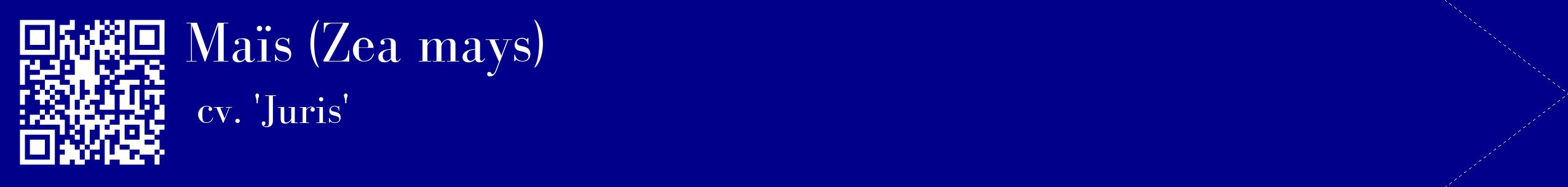 étiquette 2