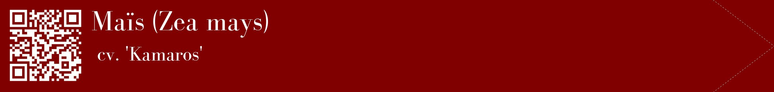 étiquette 2