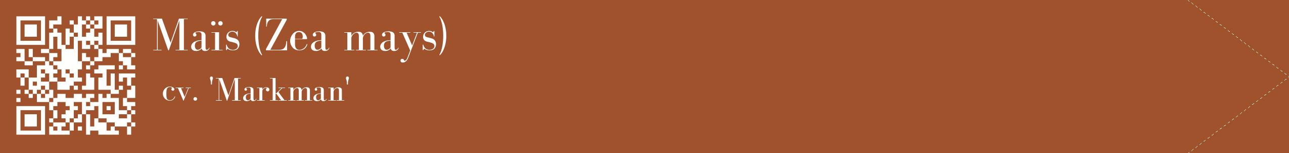 étiquette 2