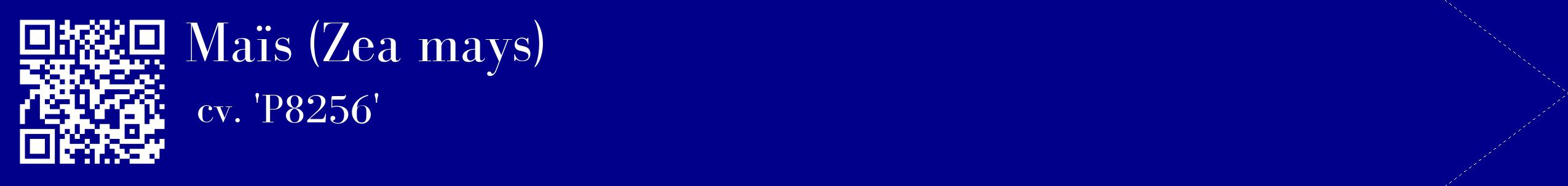 étiquette 2