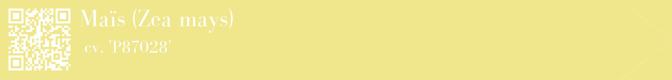 étiquette 2