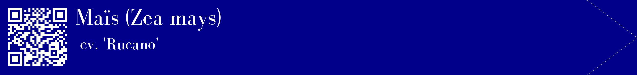 étiquette 2