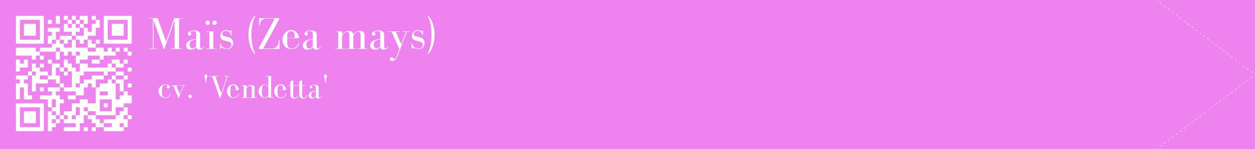 étiquette 2