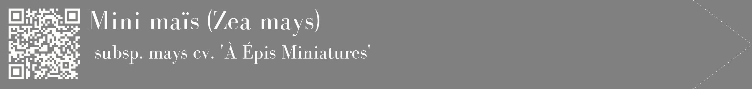 étiquette 2